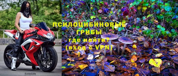 ПСИЛОЦИБИНОВЫЕ ГРИБЫ Алексин