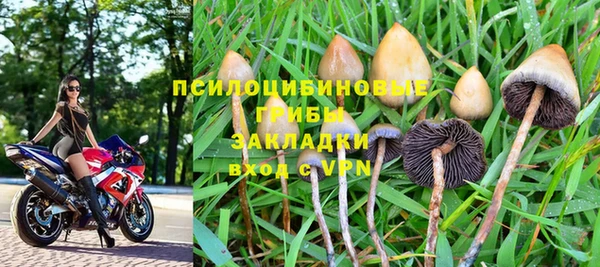 круглые Алзамай