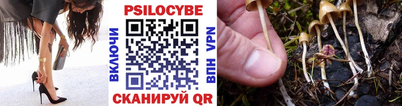 Галлюциногенные грибы Psilocybe  Владивосток 