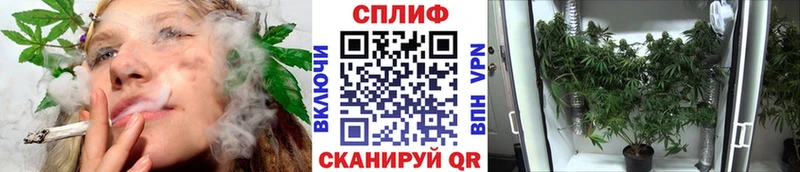 сайты даркнета телеграм  Владивосток  Каннабис Amnesia  мега сайт 
